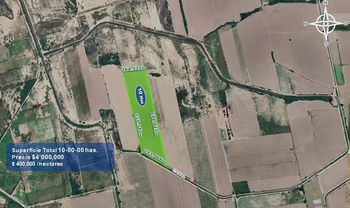 9_2932 | 10 HECTAREAS AGRÍCOLAS Ejido Suarez (Campo Gastelum y Cohuibampo), Ahome Sinaloa | INMOBILIARIA AHOME