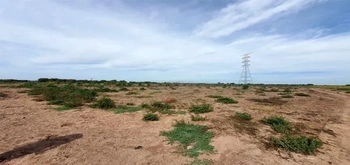 13_3124 | En Venta excelente Predio Agrícola, Ejido Mochis. | INMOBILIARIA AHOME